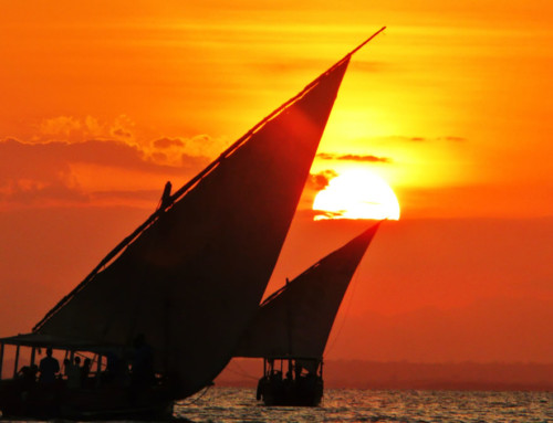 DHOW RIDES